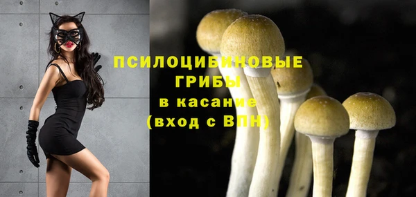 ECSTASY Армянск