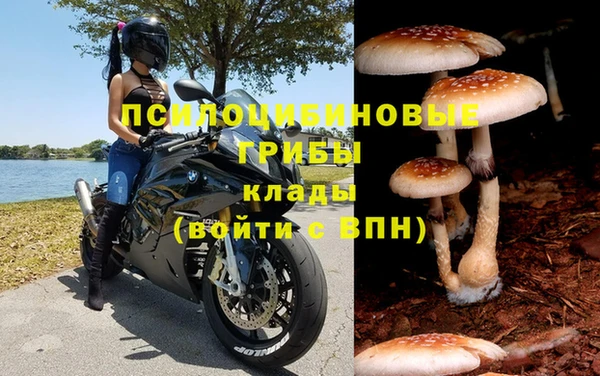 винт Аркадак