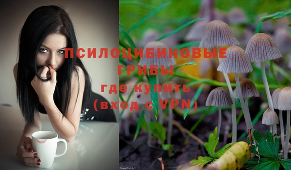 винт Аркадак