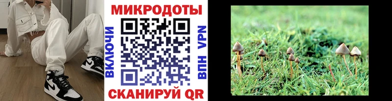 Галлюциногенные грибы мухоморы  МЕГА вход  Ступино 