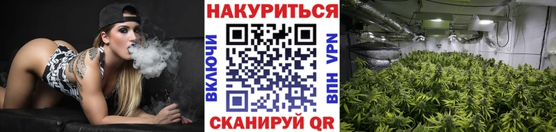 OMG вход  Ступино  Марихуана сатива 